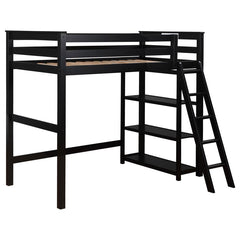 Anica Black Twin Loft Bed