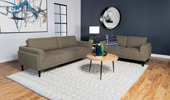 Rilynn Brown 2 Pc Sofa Set